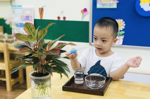 Phương pháp Montessori - thực hành cuộc sống cho bé